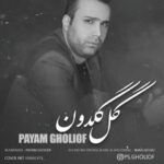 دانلود آهنگ جدید پیام قلی اف گل گلدون